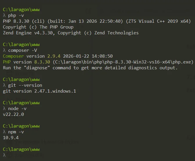 Screenshot pengecekan versi PHP Composer Git Node JS dan NPM